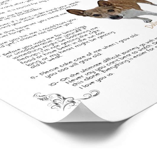 ドリー – ポスター (角)