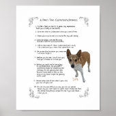 ドリー – ポスター (正面)