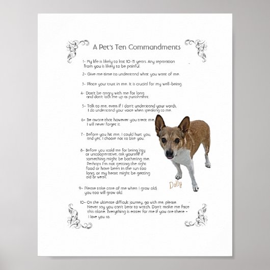 ドリー – ポスター (正面)