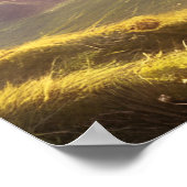 ドルイドウォリアープリンセスファンタジーアート ポスター (角)