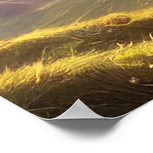 ドルイドウォリアープリンセスファンタジーアート ポスター (角)