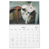 ドルクス12ヶ月 カレンダー (3月 2027)