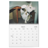 ドルクス12ヶ月 カレンダー (3月 2026)