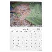 ドルクス12ヶ月 カレンダー (1月 2026)