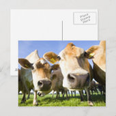 ドルセット（英国） ポストカード (正面/裏面)