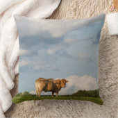 ドルドーニュ県の地域のブロンドのd'Aquitaine牛、フランス クッション (ブランケット)