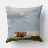 ドルドーニュ県の地域のブロンドのd'Aquitaine牛、フランス クッション (裏面)