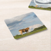 ドルドーニュ県の地域のブロンドのd'Aquitaine牛、フランス スクエアペーパーコースター (アングル)