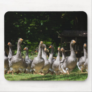 ドルドーニュ県のmousepadのガチョウ マウスパッド