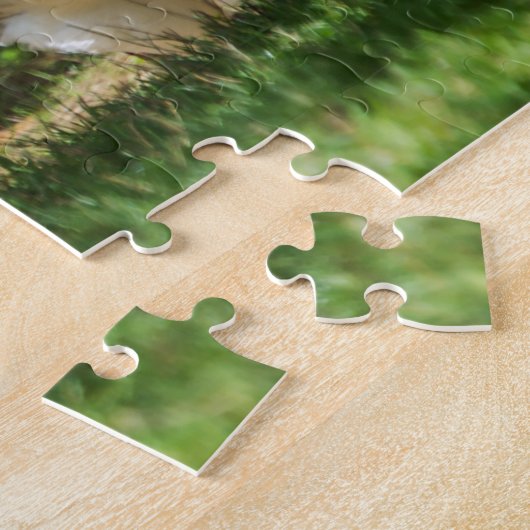 ドルドーニュ県、フランスのおもしろいな灰色のガチョウ ジグソーパズル (側面)