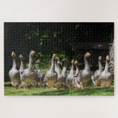 ドルドーニュ県、フランスのおもしろいな灰色のガチョウ ジグソーパズル (横)