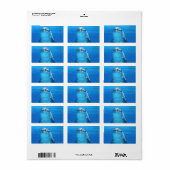 ドルフィンウォータービーチトロピカルパラダイスアイランドフィッシュ ラベル (フルシート)