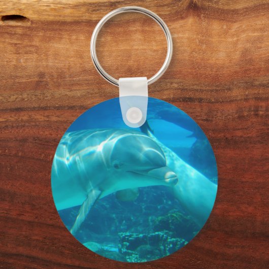 ドルフィンキよくはしゃぐーチェイン キーホルダー (正面)