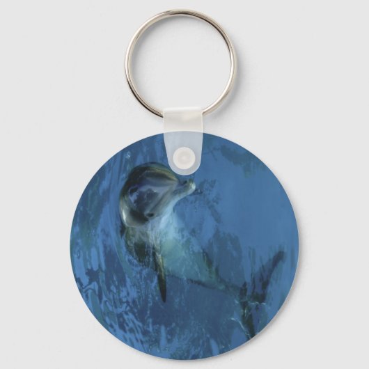 ドルフィンキーチェーン キーホルダー (正面)