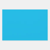 ドルフィンサマーキッズブルーラッピング紙セット ラッピングペーパーシート (正面2)