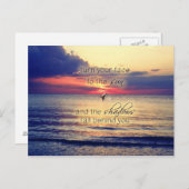 ドルフィンサンセット ポストカード (正面/裏面)