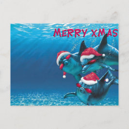 ドルフィンサンタおもしろいハットクリスマス ポストカード