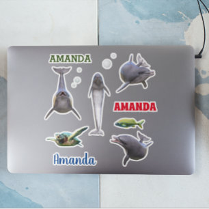 ドルフィンシーライフセットネームモノグラム シール