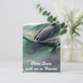 ドルフィンスイムハワイビッグアイランド ポストカード (スタンド正面)