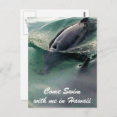 ドルフィンスイムハワイビッグアイランド ポストカード (正面/裏面)