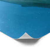 ドルフィンズキス ポスター (角)