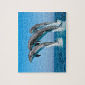 ドルフィンズゲームパズル ジグソーパズル (縦)