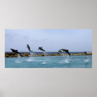 ドルフィンダンス ポスター