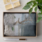 ドルフィンデザートデコページティッシュペーパー 薄葉紙 (ギフト)