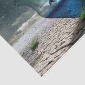 ドルフィンデザートデコページティッシュペーパー 薄葉紙 (詳細)