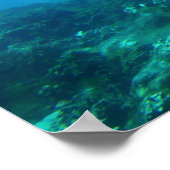 ドルフィンデュオ ポスター (角)