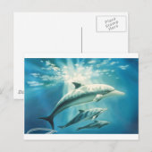 ドルフィントリオ ポストカード (正面/裏面)