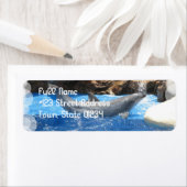 ドルフィントリック差出人住所ラベル ラベル (インサイチュ)