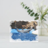 ドルフィントリック葉書 ポストカード (スタンド正面)