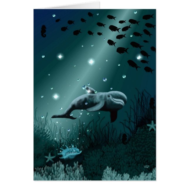 ドルフィンドリーム (正面)