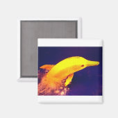 ドルフィンバナナ マグネット (正面/裏面)