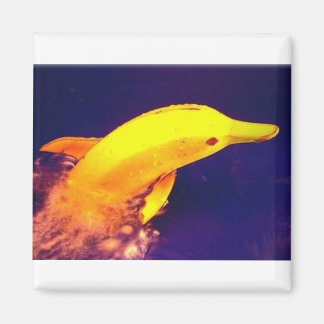 ドルフィンバナナ マグネット