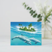 ドルフィンパラダイス ポストカード (スタンド正面)