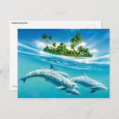 ドルフィンパラダイス ポストカード (正面/裏面)