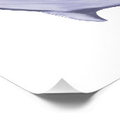 ドルフィンピース ポスター (コーナー)