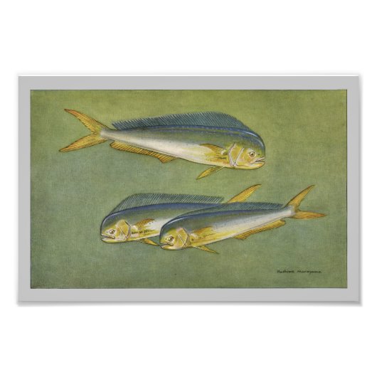 ドルフィンフィッシュヴィンテージフィッシュプリント フォトプリント            (正面)