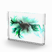 ドルフィンベビー フォトブロック (右)