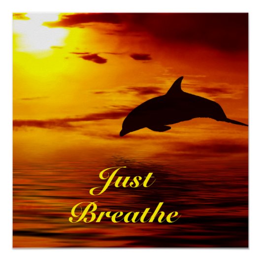 ドルフィンポスター ポスター (正面)