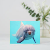 ドルフィンポートレート ポストカード (スタンド正面)