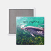 ドルフィンマグネット マグネット (正面/裏面)