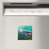 ドルフィンマグネット マグネット (インサイチュ (食洗機))