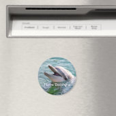 ドルフィンマグネット マグネット (インサイチュ (食洗機))