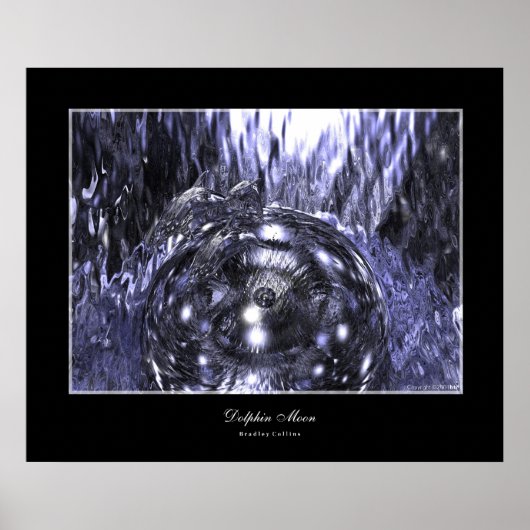 ドルフィンムーン ポスター (正面)
