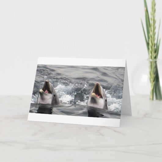 ドルフィン波水熱帯ダイビング水中競技ライフ カード (正面)