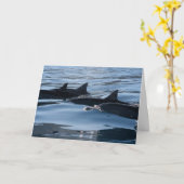 ドルフィン誕生日 カード (黄色い花)