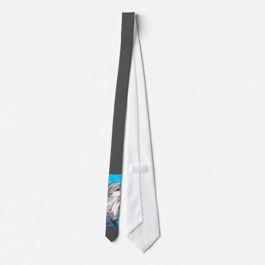 ドルフィン20160501 ネクタイ (裏面)